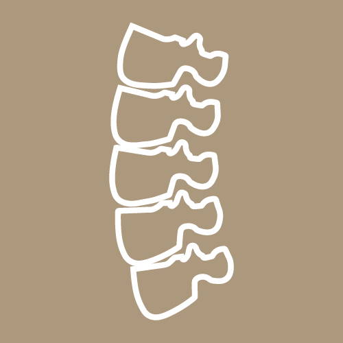 icon for Chiropractic